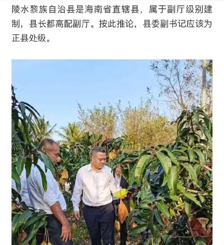 图片[9]-海南陵水县委副书记肖峰 被实名举报长期霸占他人妻子 大尺度聊天记录与不雅视频曝光-赤赤哗热瓜黑料中心