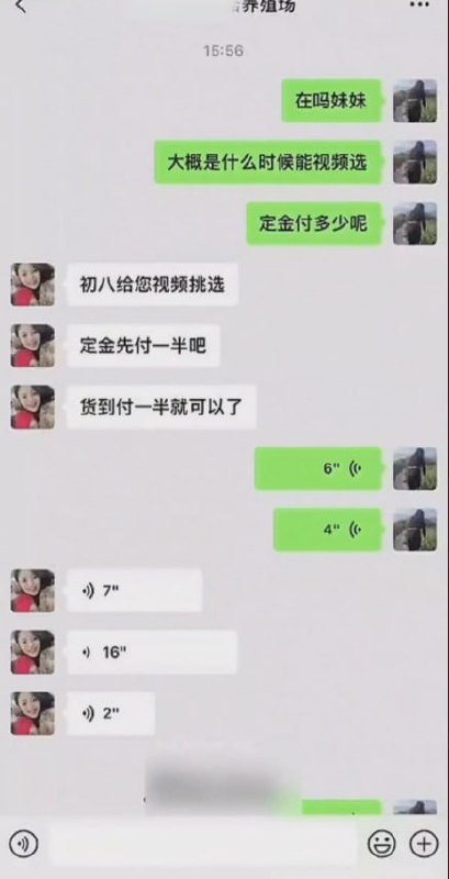 图片[7]-女子购买种猪跟自己配种事件 完整录音 语音聊天记录能惊掉你的下巴-赤赤哗热瓜黑料中心