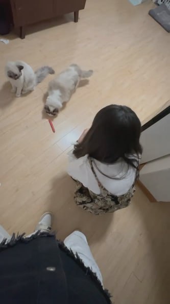 图片[8]-我家猫会后空翻 美女大学生小吴兼职喂猫被男雇主骗上床大屌后入-赤赤哗热瓜黑料中心