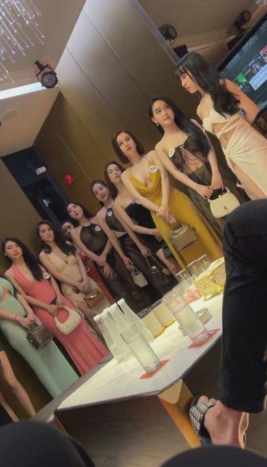 非诚勿扰选秀时间到 网友友们请选择心动女嘉宾-赤赤哗热瓜黑料中心