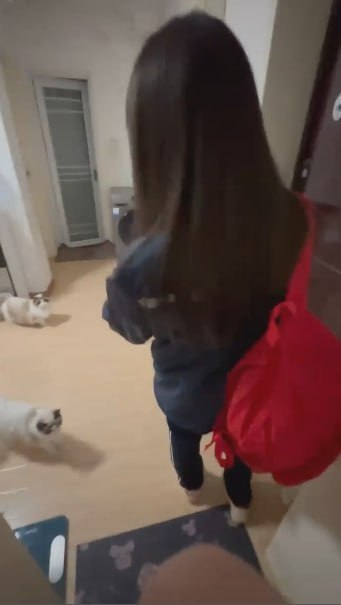 图片[9]-我家猫会后空翻 美女大学生小吴兼职喂猫被男雇主骗上床大屌后入-赤赤哗热瓜黑料中心