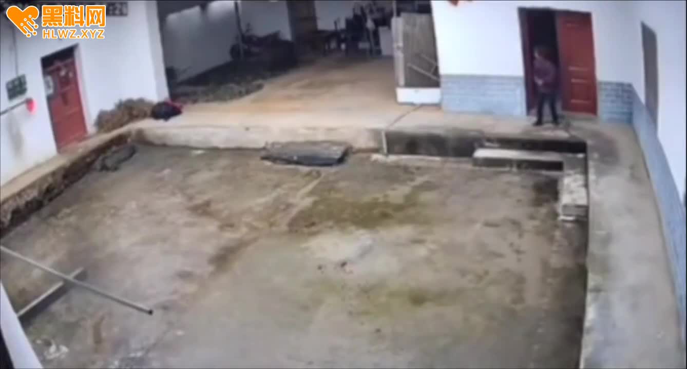 图片[9]-西省安康市岚皋县佐龙镇 野猪闯入居民家中 反复顶撞撕咬一名老人致死 据传是猎人猎-赤赤哗热瓜黑料中心